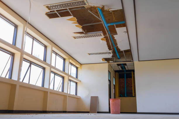 Best Mold removal after water damage  in Meadows Place, TX