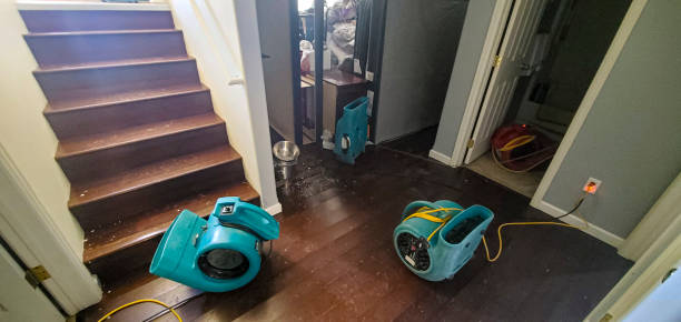 Best Residential water damage restoration  in Meadows Place, TX