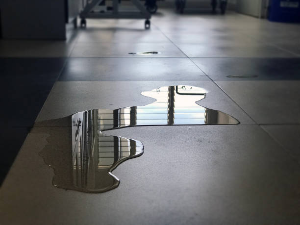 Best Emergency water damage restoration  in Meadows Place, TX