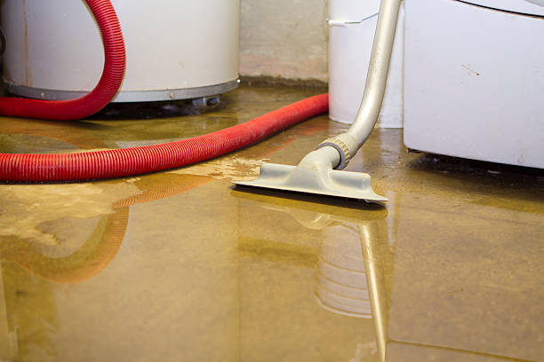 Best Water damage restoration near me  in Meadows Place, TX