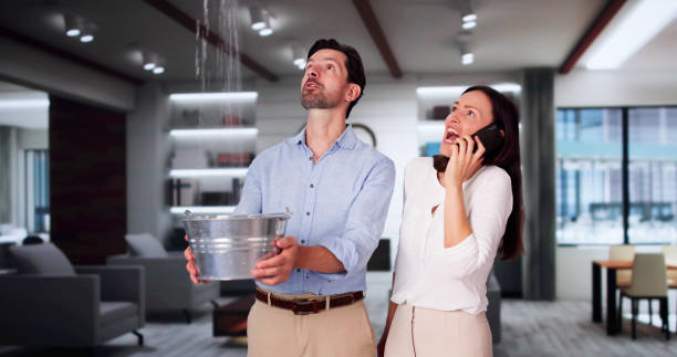 Best Fire Damage Restoration  in Meadows Place, TX