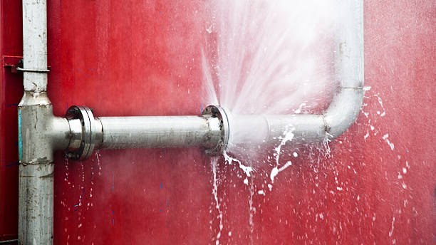 Best Local water damage restoration  in Meadows Place, TX